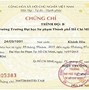 Tiếng Anh Bậc 3/6 Tương Đương Với Ielts