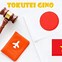 Visa Tokutei Ginou Tiếng Nhật La Gì